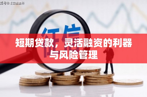 山上短期贷款，灵活融资的利器与风险管理