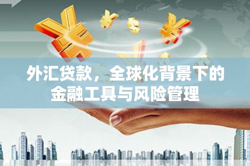 山上外汇贷款，全球化背景下的金融工具与风险管理