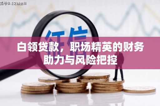 山上白领贷款，职场精英的财务助力与风险把控