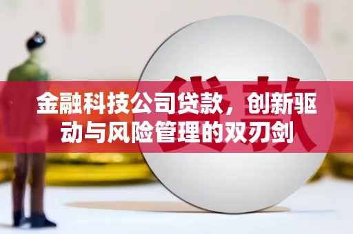 山上金融科技公司贷款，创新驱动与风险管理的双刃剑