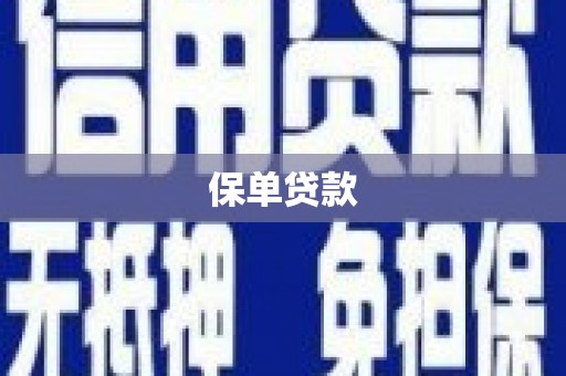 山上保单贷款